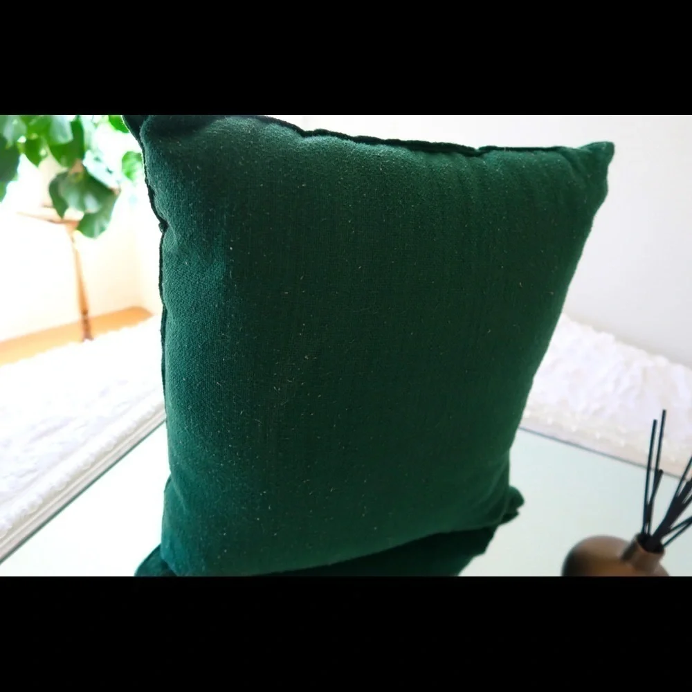WORLD MARKET Decorative Pillow
